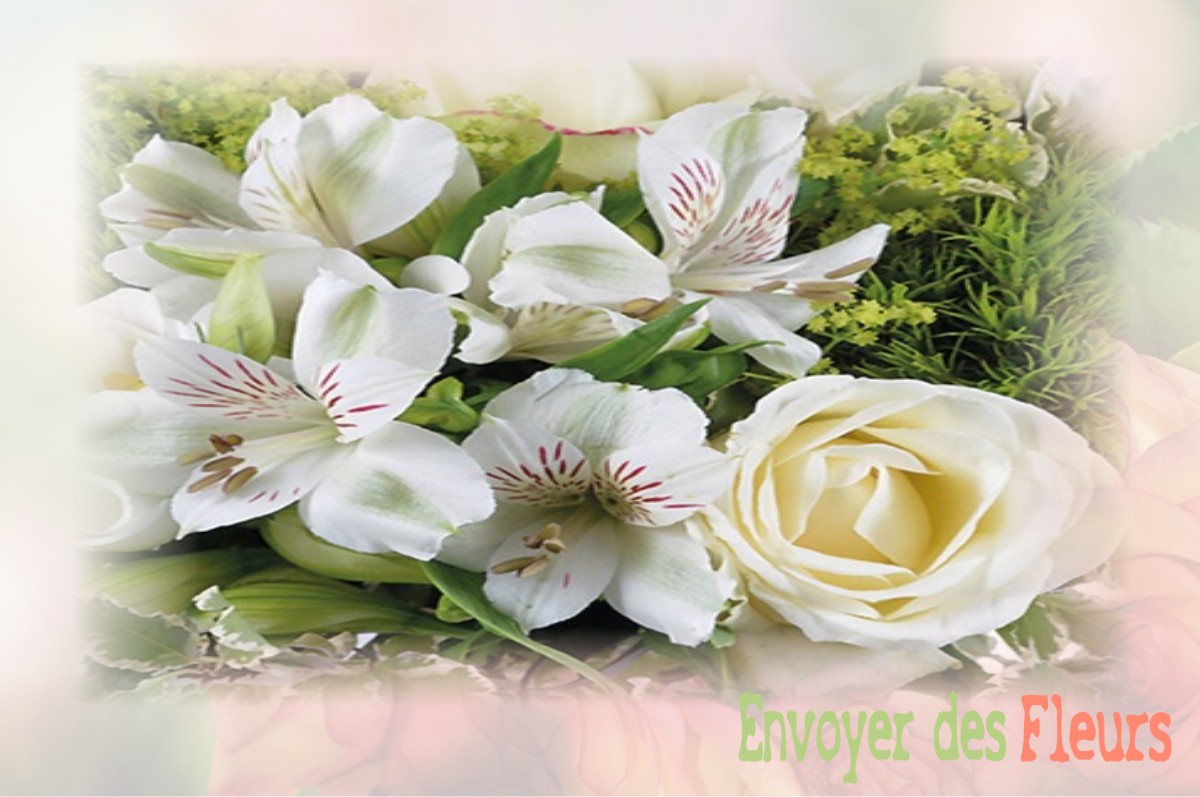 envoyer des fleurs à à DAMPIERRE-SUR-BOUTONNE